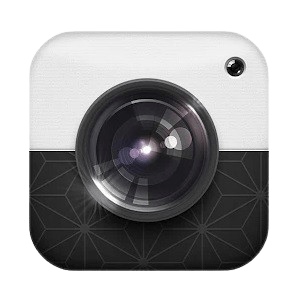 Black and White Camera