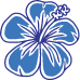 A blue flower