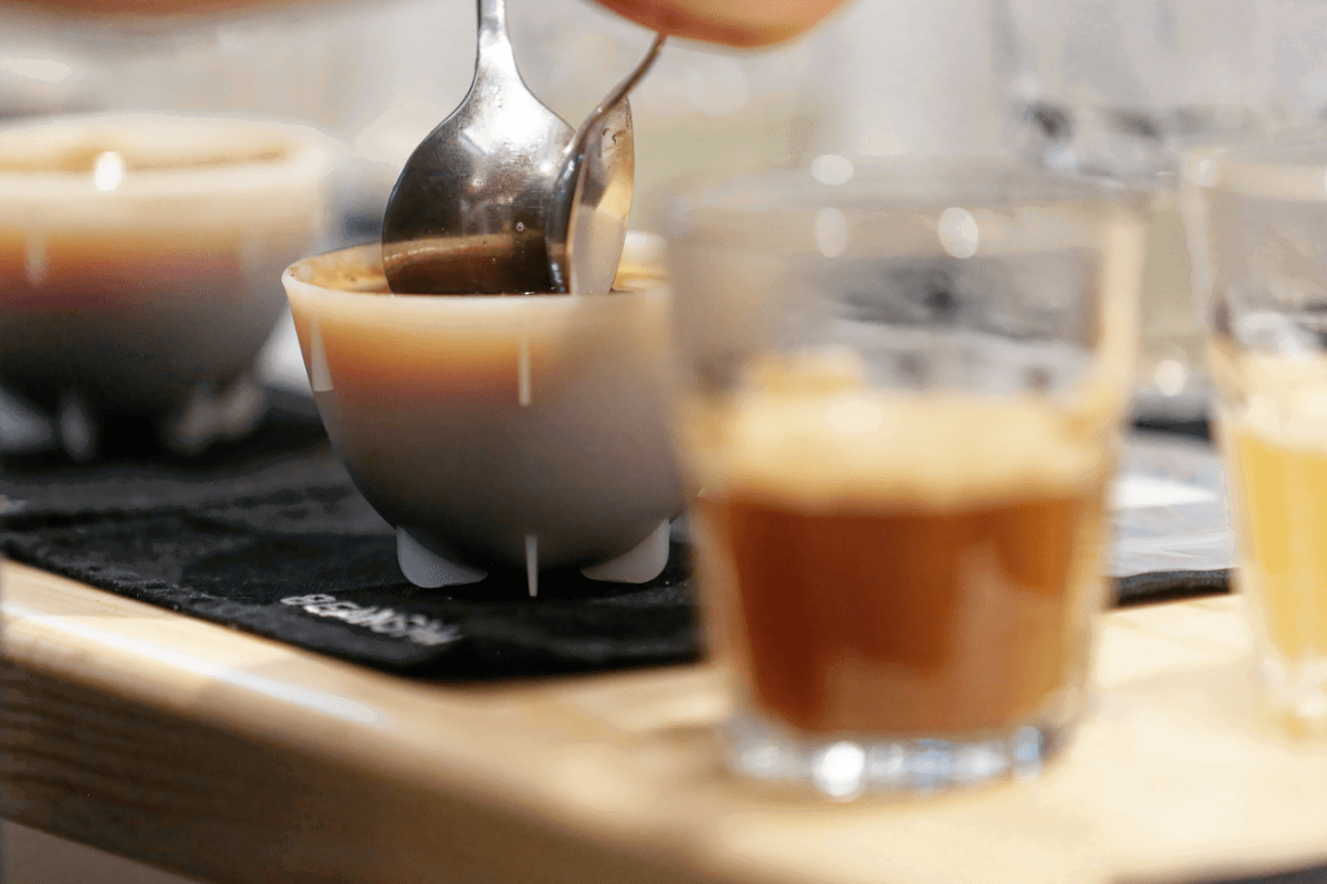 Close-up shot of a coffee cupping event